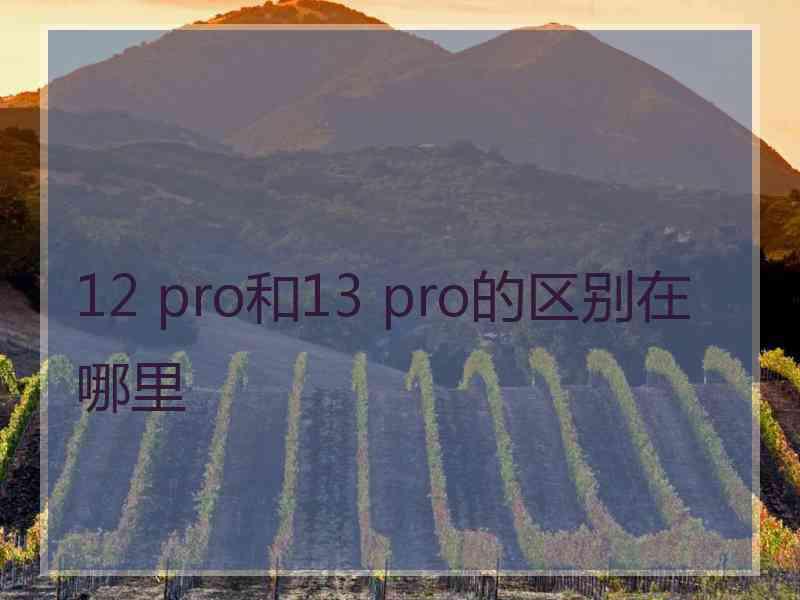 12 pro和13 pro的区别在哪里