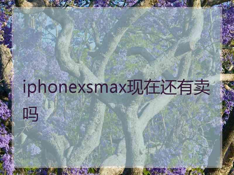 iphonexsmax现在还有卖吗