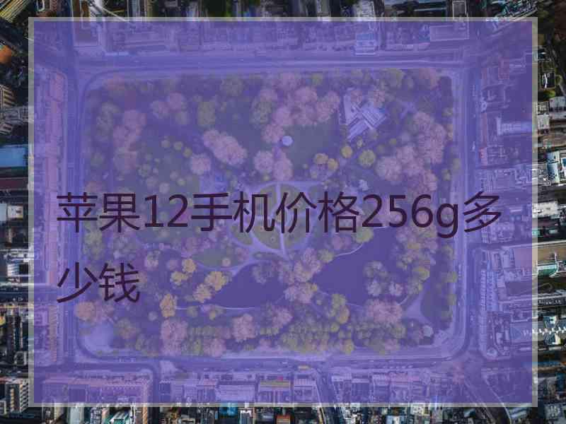 苹果12手机价格256g多少钱