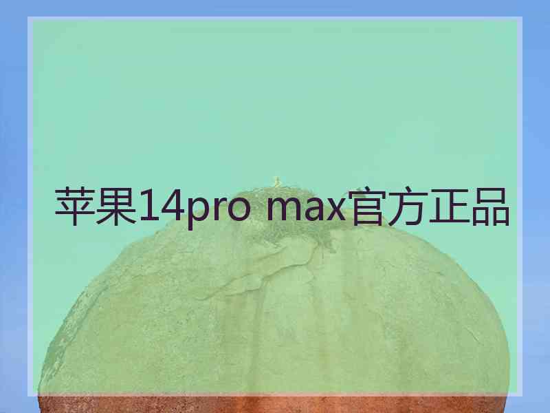 苹果14pro max官方正品