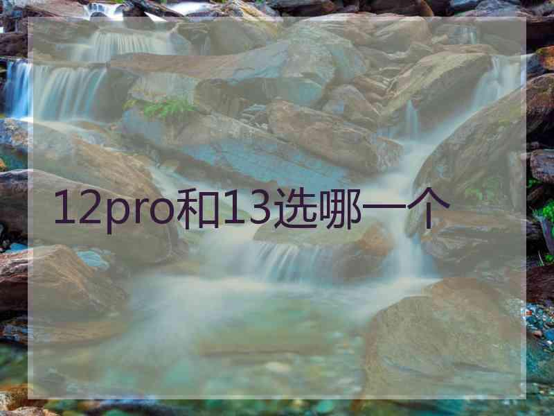 12pro和13选哪一个