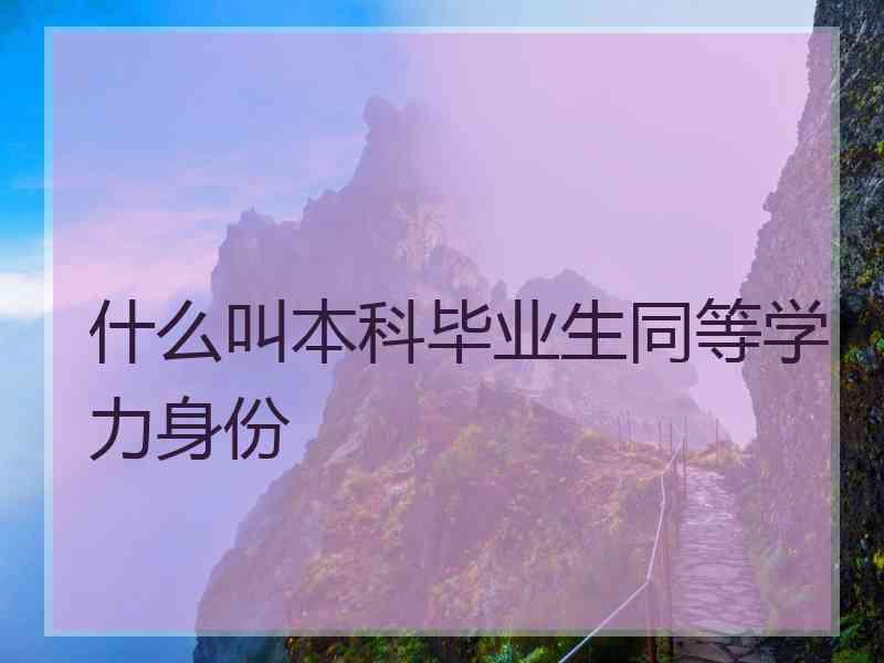 什么叫本科毕业生同等学力身份