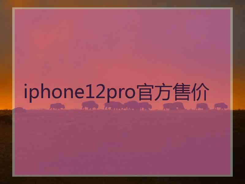 iphone12pro官方售价