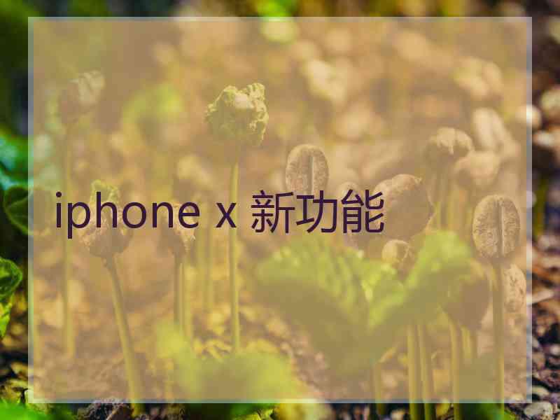 iphone x 新功能