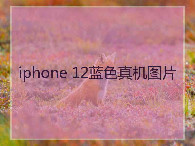 iphone 12蓝色真机图片