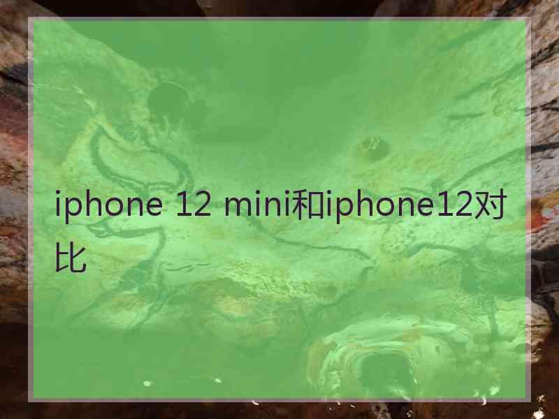 iphone 12 mini和iphone12对比