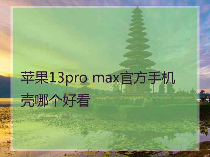 苹果13pro max官方手机壳哪个好看