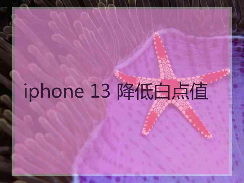 iphone 13 降低白点值