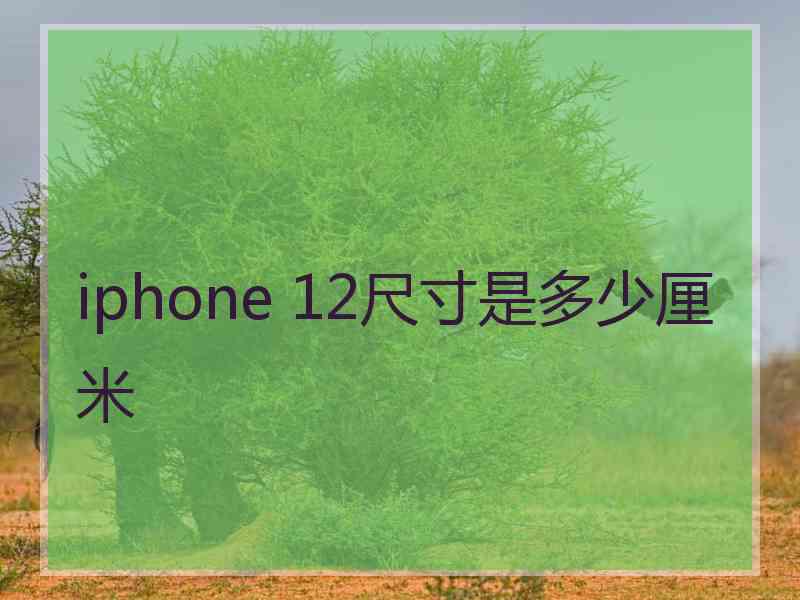 iphone 12尺寸是多少厘米