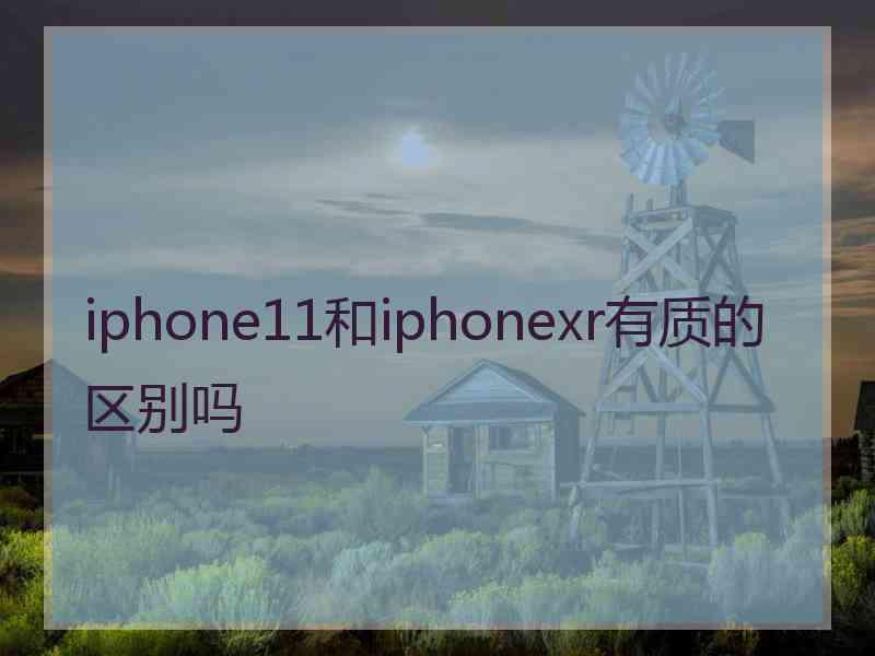 iphone11和iphonexr有质的区别吗