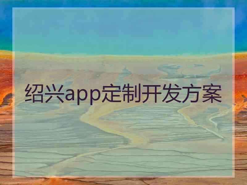 绍兴app定制开发方案