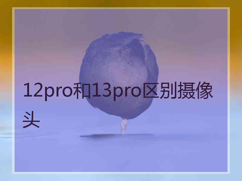 12pro和13pro区别摄像头