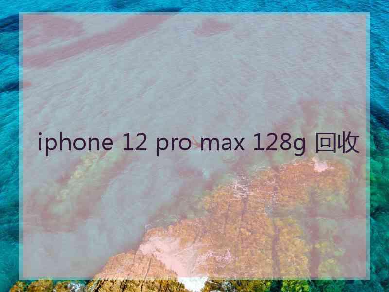 iphone 12 pro max 128g 回收