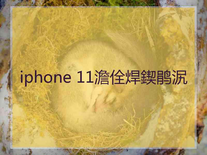 iphone 11澹佺焊鍥鹃泦