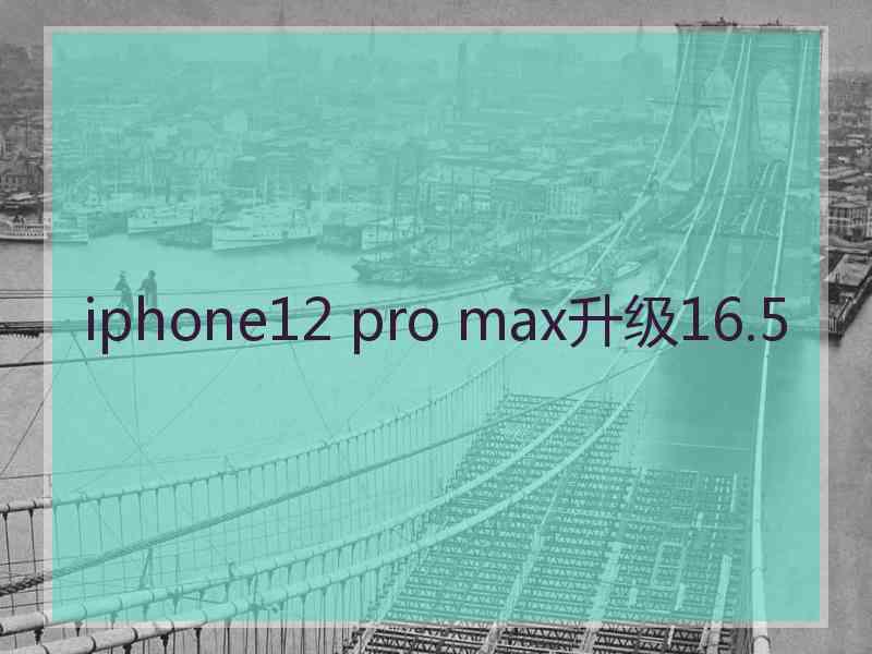 iphone12 pro max升级16.5