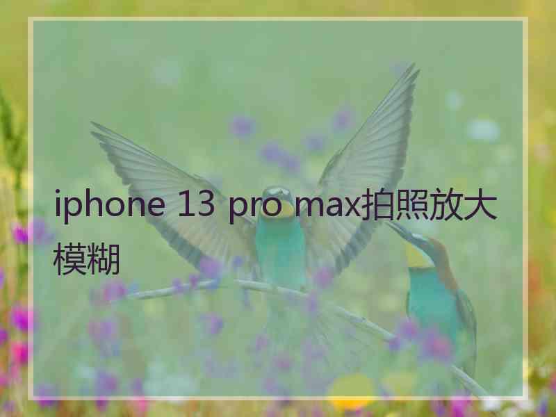 iphone 13 pro max拍照放大模糊