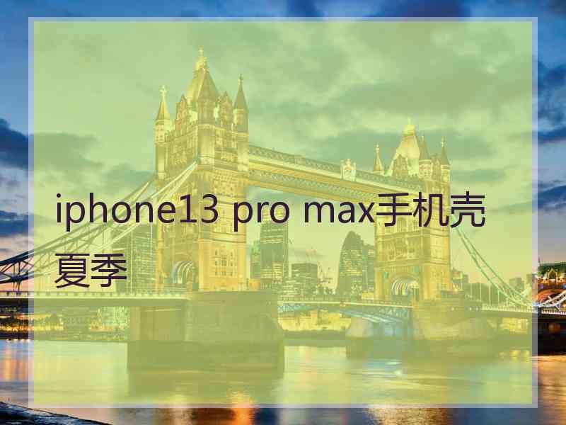 iphone13 pro max手机壳夏季