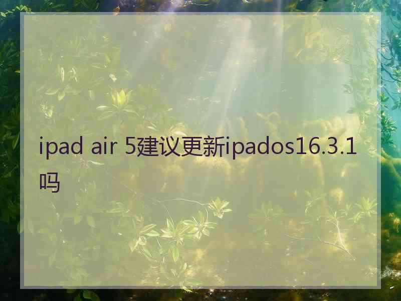 ipad air 5建议更新ipados16.3.1吗