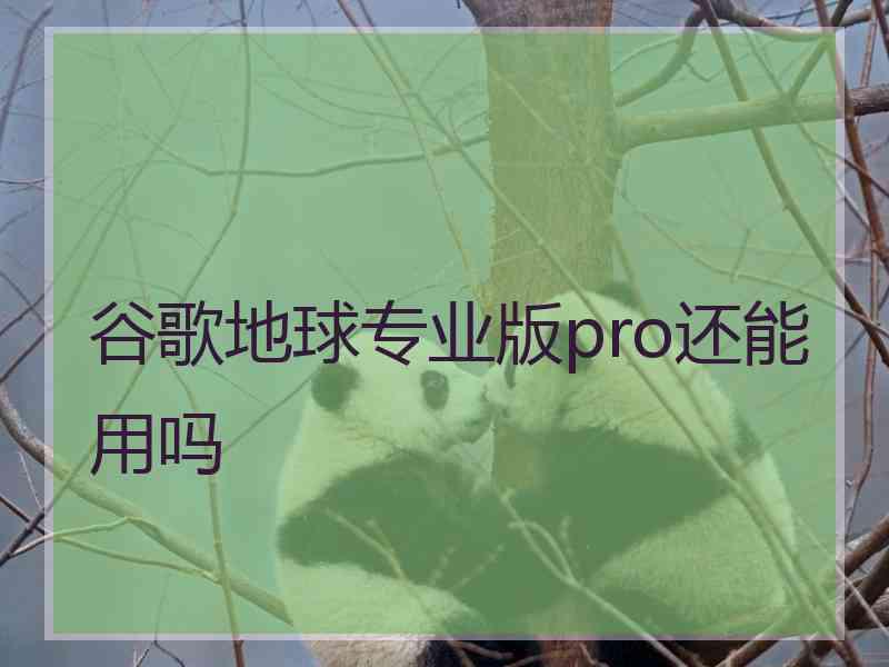 谷歌地球专业版pro还能用吗