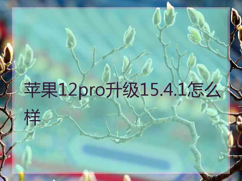 苹果12pro升级15.4.1怎么样