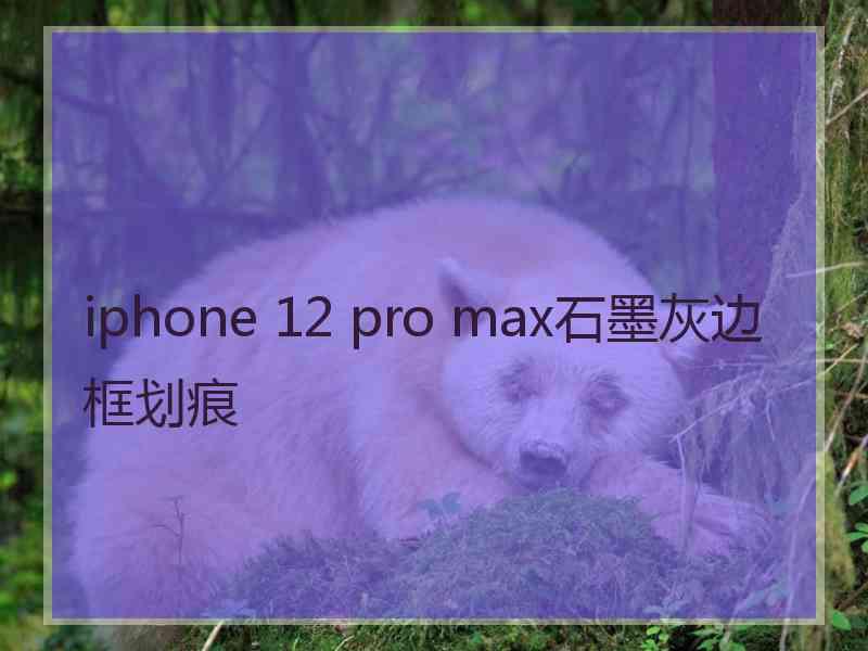 iphone 12 pro max石墨灰边框划痕