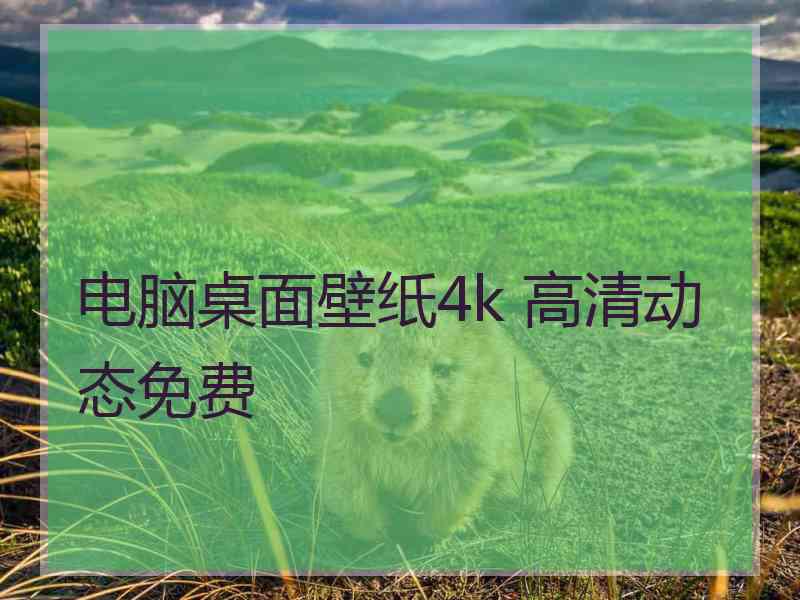 电脑桌面壁纸4k 高清动态免费