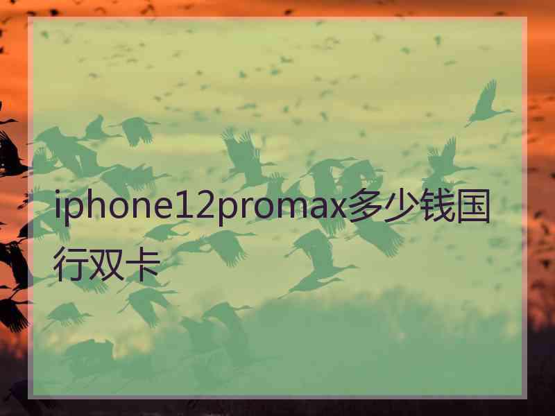 iphone12promax多少钱国行双卡