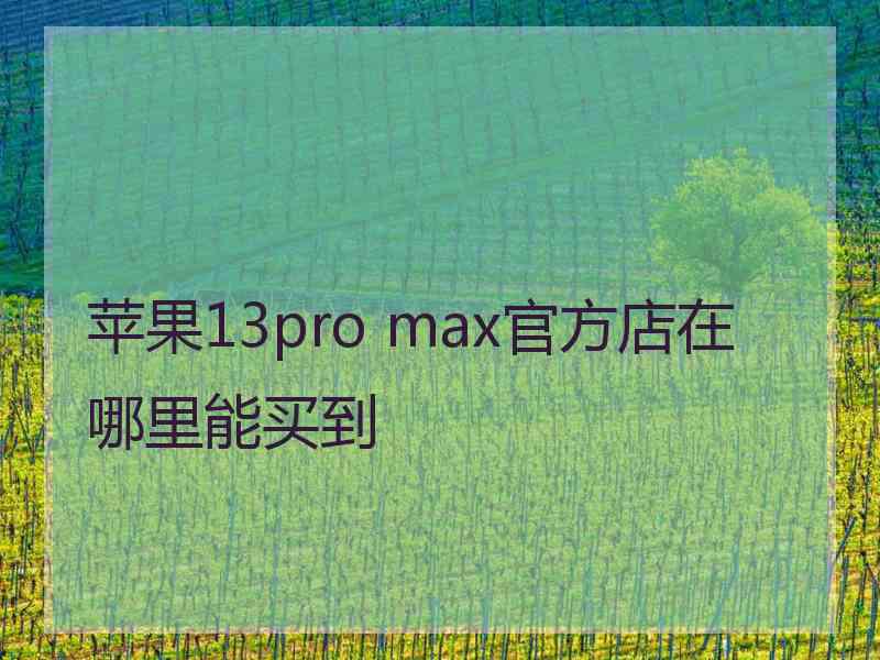 苹果13pro max官方店在哪里能买到