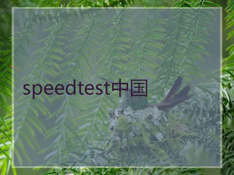 speedtest中国