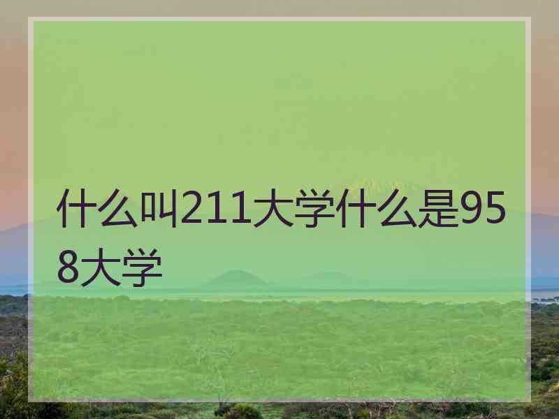 什么叫211大学什么是958大学