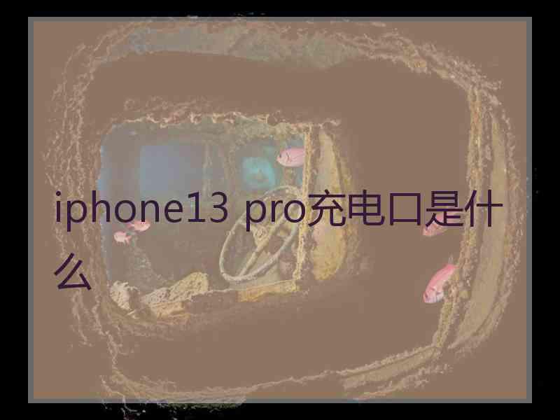 iphone13 pro充电口是什么