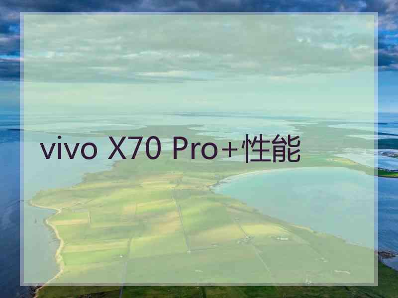 vivo X70 Pro+性能