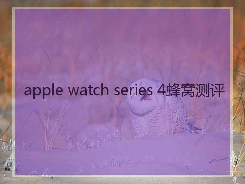 apple watch series 4蜂窝测评