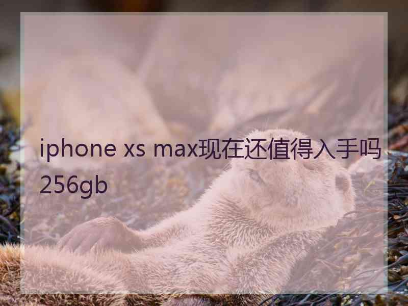 iphone xs max现在还值得入手吗256gb