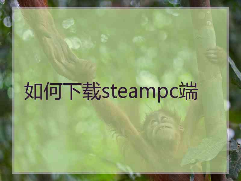 如何下载steampc端