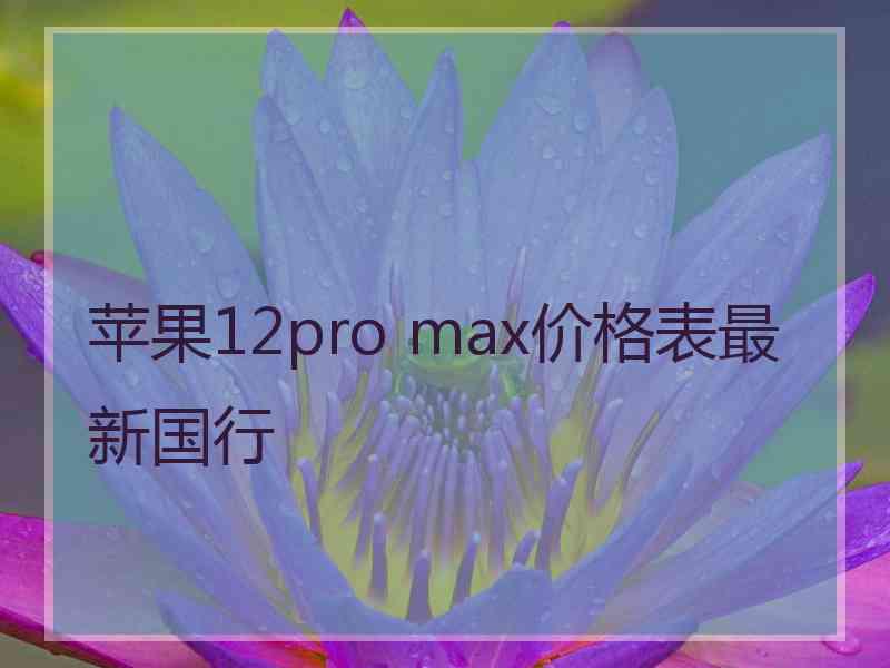 苹果12pro max价格表最新国行