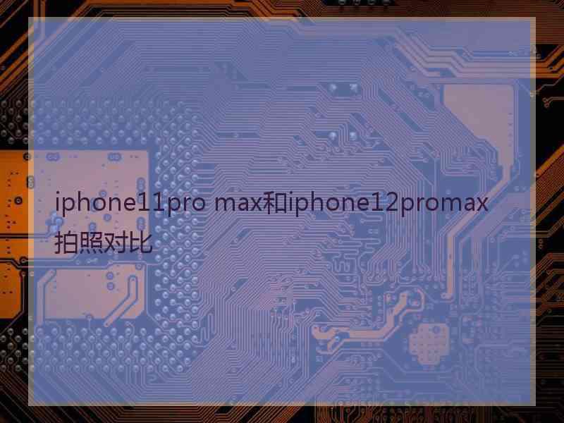 iphone11pro max和iphone12promax拍照对比