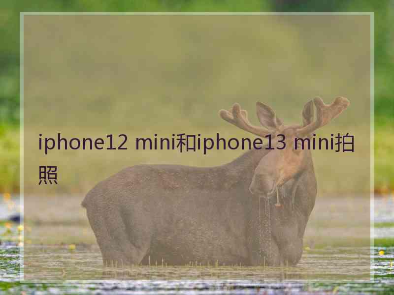 iphone12 mini和iphone13 mini拍照