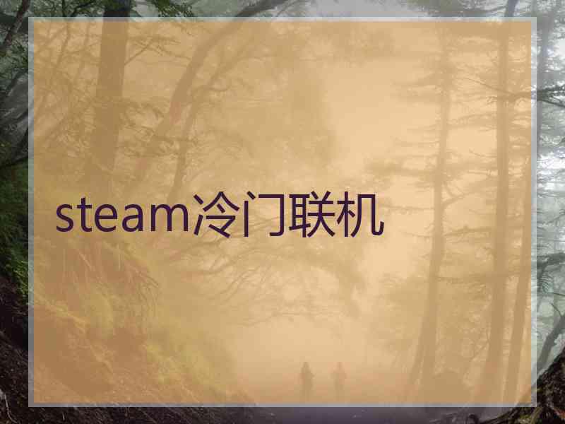 steam冷门联机