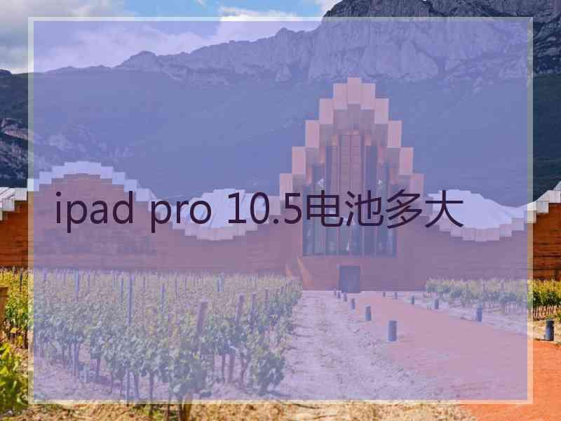 ipad pro 10.5电池多大