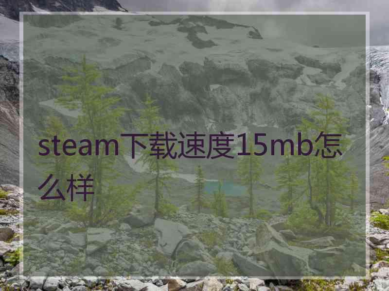 steam下载速度15mb怎么样