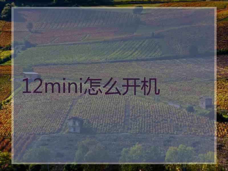 12mini怎么开机