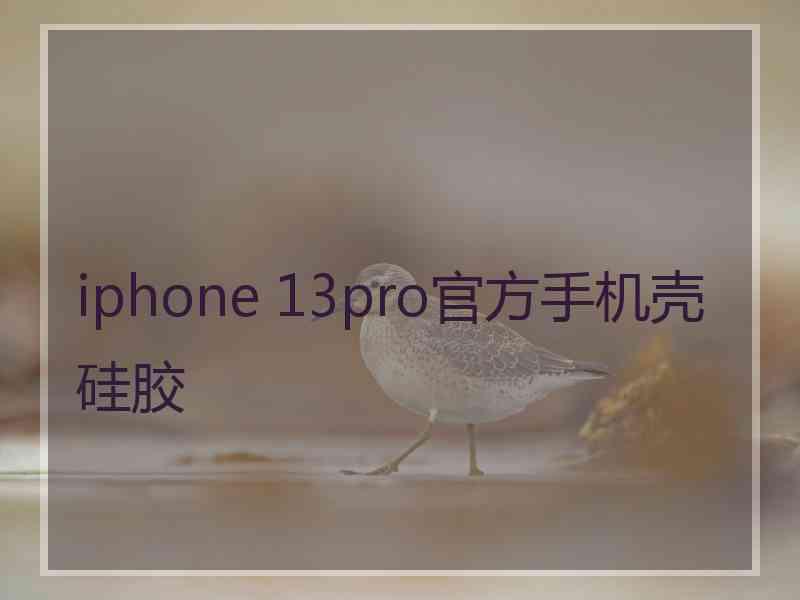 iphone 13pro官方手机壳硅胶