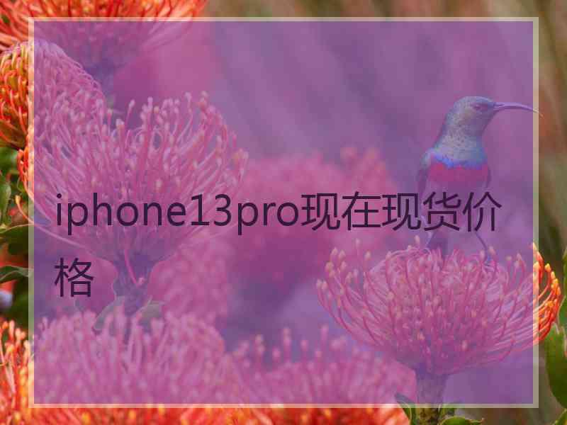 iphone13pro现在现货价格