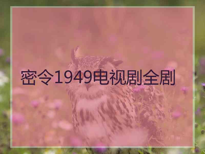 密令1949电视剧全剧