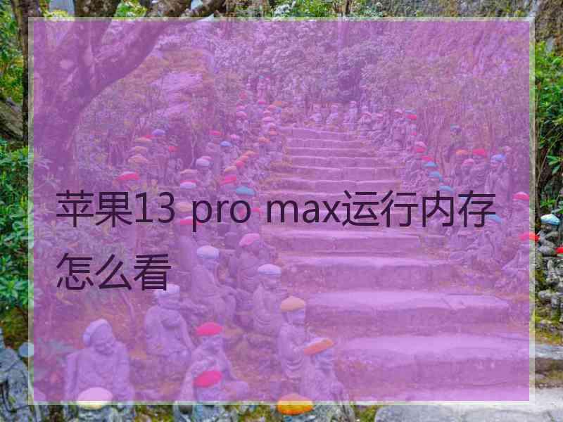 苹果13 pro max运行内存怎么看