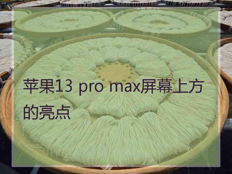 苹果13 pro max屏幕上方的亮点