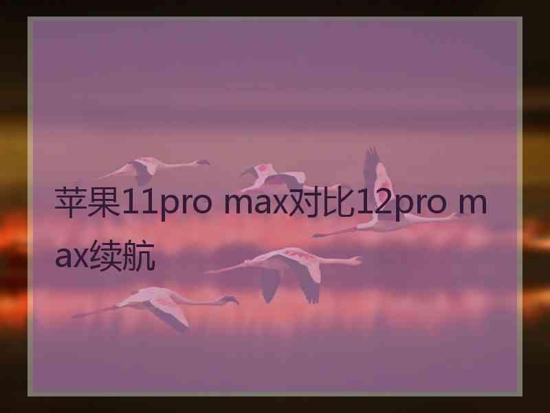 苹果11pro max对比12pro max续航