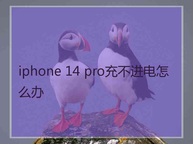 iphone 14 pro充不进电怎么办