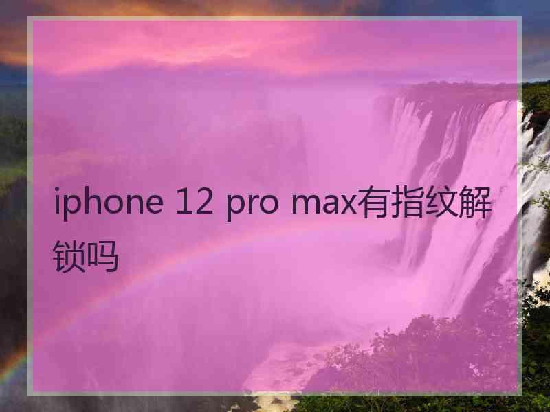 iphone 12 pro max有指纹解锁吗